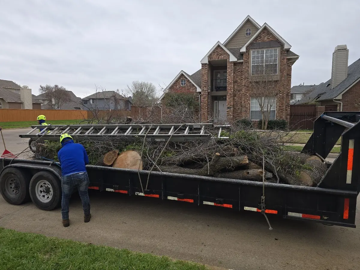 Expert Tree Fertilization with proper safety equipment in White Bird